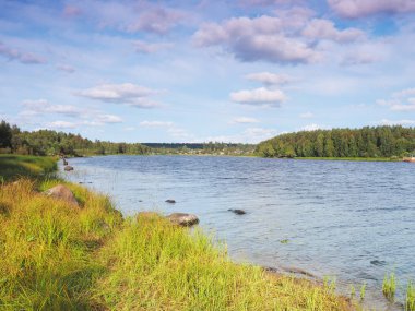 Yazın nehir kenarında. Karelya