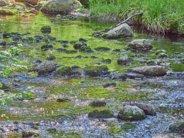 Nehirdeki taşlar. yaz