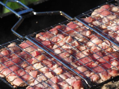 Izgarada barbekü. yaz