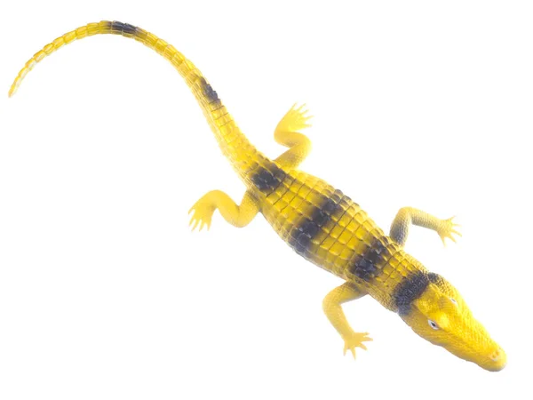 Krokodýl Hračky Bílém Pozadí — Stock fotografie