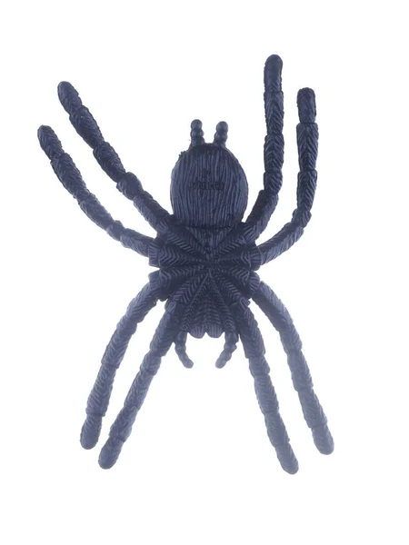 白い背景のおもちゃのクモ — ストック写真