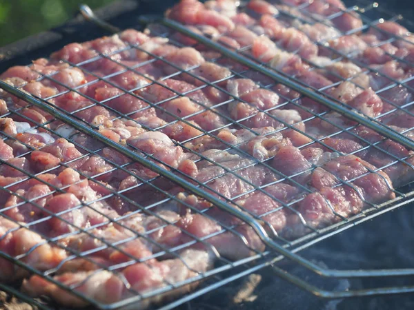 Barbacoa Parrilla Verano —  Fotos de Stock