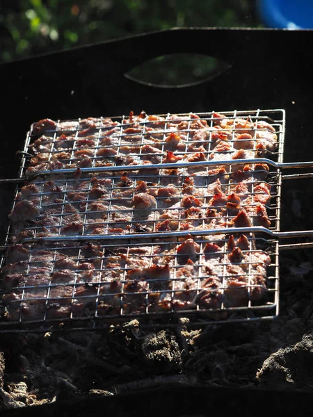 Grill Auf Dem Grill Sommer — Stockfoto