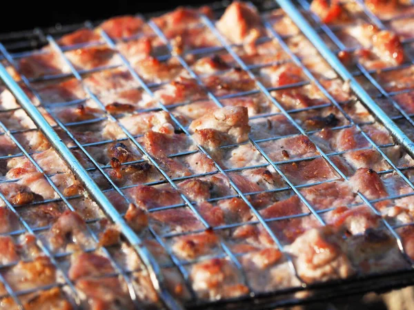 Grill Auf Dem Grill Sommer — Stockfoto