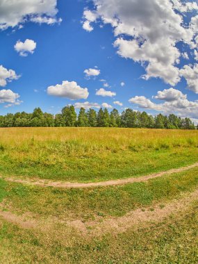 Tarlada güzel bir yol