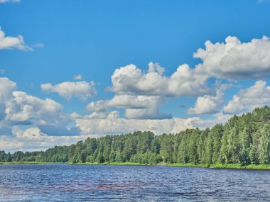 Yazın nehir kıyısında.