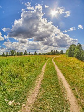 Tarlada güzel bir yol
