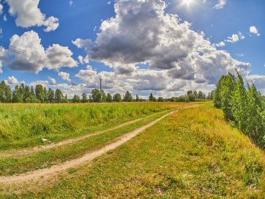 Tarlada güzel bir yol