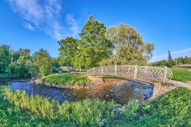 Parktaki nehir. sonbahar