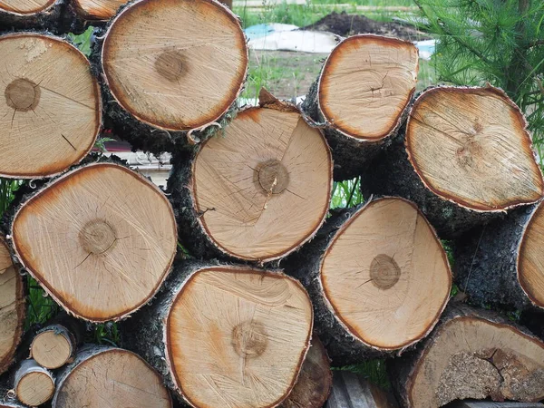 Birk Logs Vejen - Stock-foto