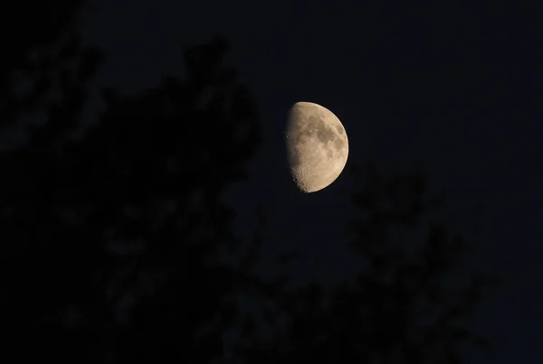 在黑暗的天空中明亮的月亮 — 图库照片