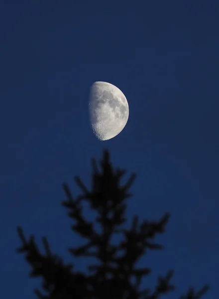 Luna Brillante Cielo Oscuro — Foto de Stock