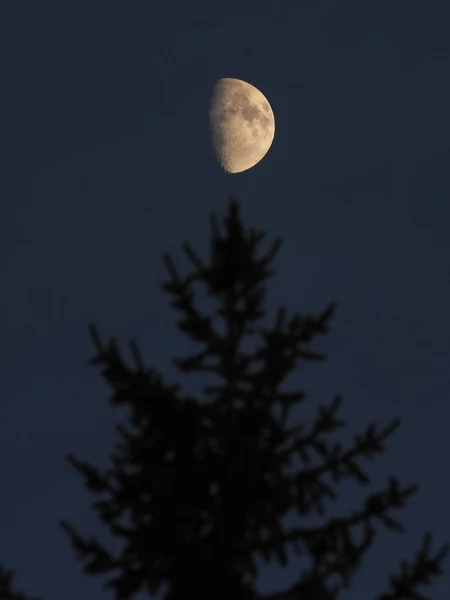 Lune Brillante Dans Ciel Sombre — Photo