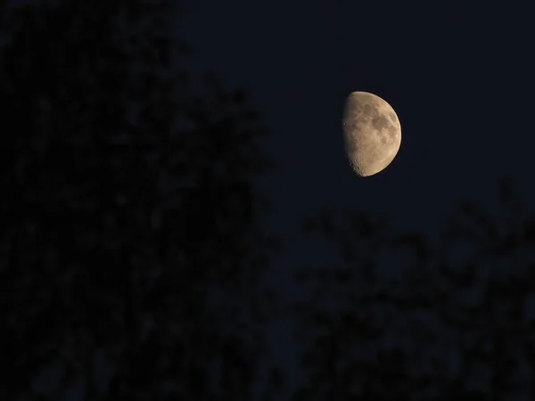 Bright Moon Dark Sky — Stock Photo, Image