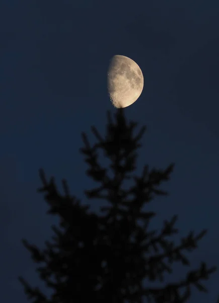 bright moon in a dark sky