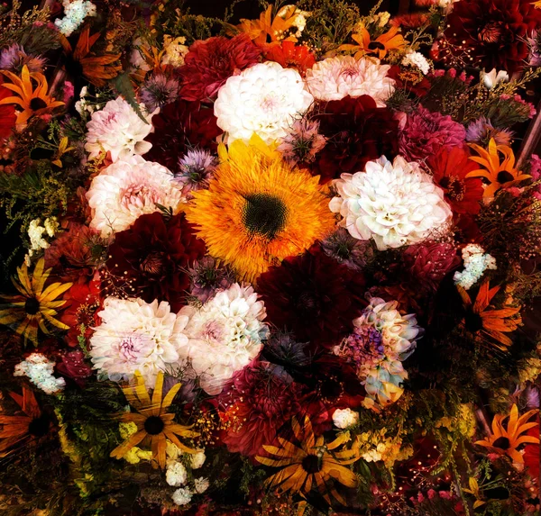 Квітковий Фон Стилізованим Букетом Далія Цинія Соняшник Гранжевий Смугастий Розмитий — стокове фото