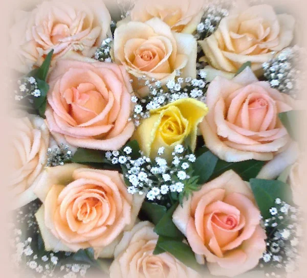 白いカスミソウとぼやけフレーム ピンクと黄色のバラの様式化された花束の花の背景 — ストック写真
