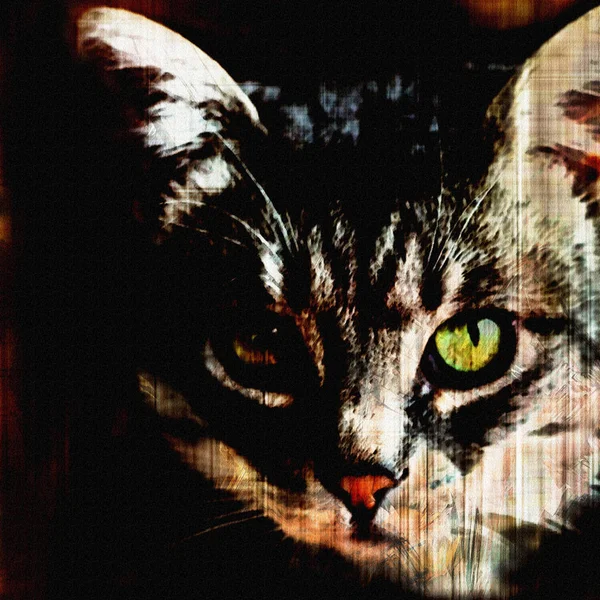 Visage de chat avec oeil vert sur fond noir rayé grunge — Photo