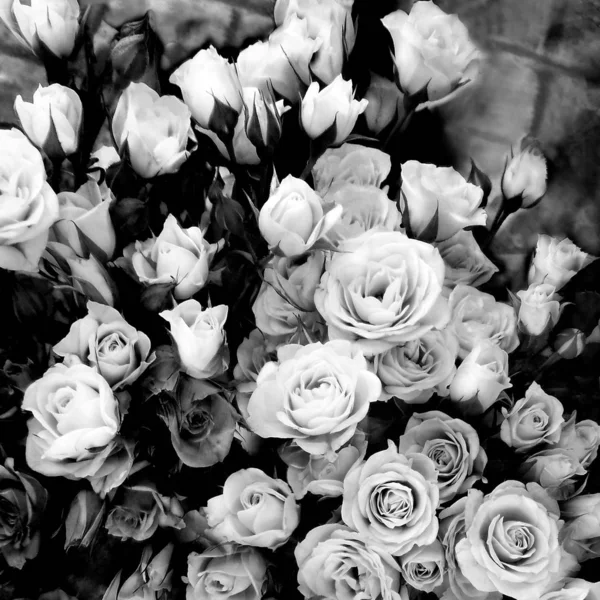 Carte florale avec bouquet de roses en noir et blanc — Photo