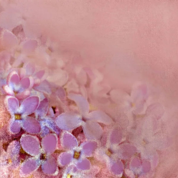 Tarjeta de felicitación floral con flores pequeñas violetas sobre fondo achaflanado — Foto de Stock