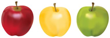 Üç olgun elma seti. Kırmızı, sarı, yeşil meyveler. Beyazda izole edilmiş.