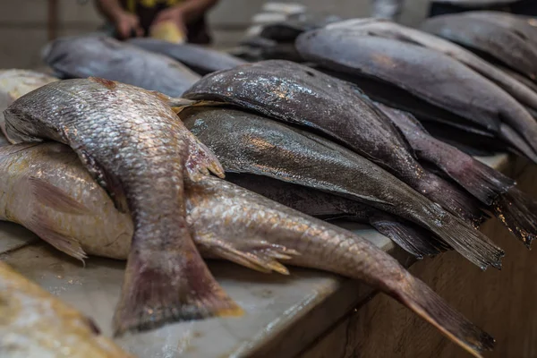 Pesce Fresco Mercato Del Pesce Abadan Iran — Foto Stock