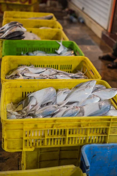 Pesce Fresco Mercato Del Pesce Abadan Iran — Foto Stock