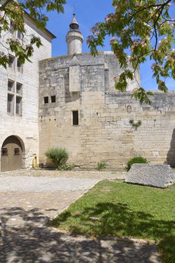 Constance of Aigues Mortes 'in tahkimatı ve kulesi ve çiçek açmış bir albizia ağacı Güney Fransa' nın Occitanie bölgesindeki Gard bölümünde Fransız şehir duvarları.