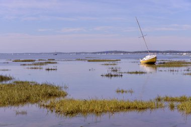 Fransa 'nın güneybatısındaki Gironde Bölümü' nde Ars 'ta, Arcachon Körfezi kıyısında bulunan Osteicole komünü' nde, gelgitte seyreden yelkenli..