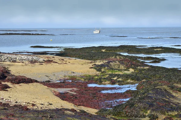 Playa Con Estruendo Comuna Vieil Isla Noirmoutier Lile Pays Loire —  Fotos de Stock