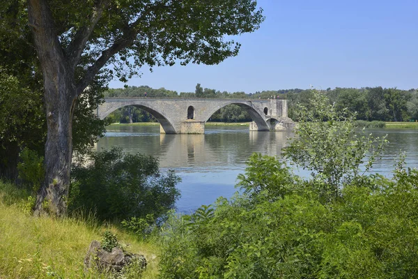 Famous Pont Saint Bnzet Petit Rhne Avignon Commune South Eastern — Stock Photo, Image