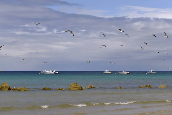 Praia Com Barcos Mar Gaivotas Voo Sables Les Pins Resort — Fotografia de Stock