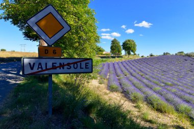 Valensole ve çıkış işareti bir lavanta tarlasıyla, Fransa 'nın güneydoğusundaki Alpes-de-Haute-Provence' de büyüyen lavantasıyla tanınan bu ünlü şehri simgeliyor.
