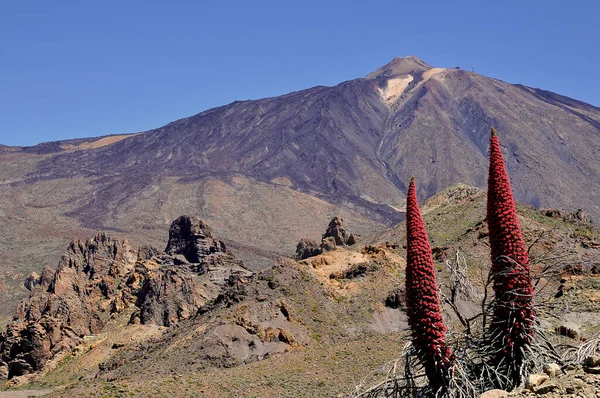 Monte Teide Spagnolo Pico Del Teide 3718M Vulcano Situato Tenerife — Foto Stock