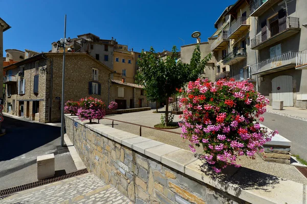 Flores Geranio Ciudad Sisteron Una Comuna Departamento Alpes Haute Provence — Foto de Stock