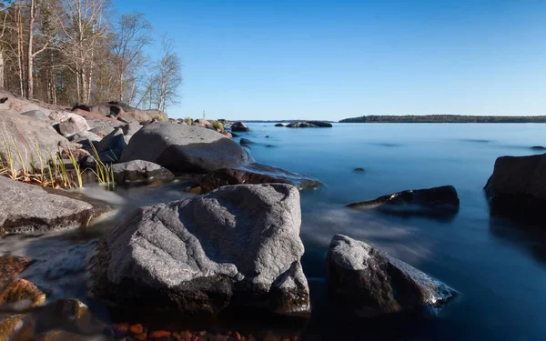 Piedras Árboles Costa Del Lago Ladoga —  Fotos de Stock