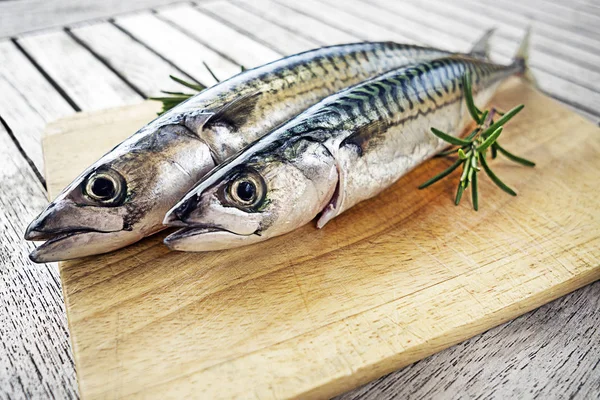 ハーブと木の板に新鮮なサバ魚 — ストック写真