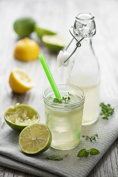 Lemonade Mojito Cocktail Lemon Mint Cold Refreshing Drink Beverage Ice — Stock Photo, Image