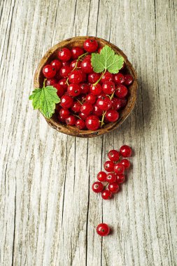 Fresh red currant berries with leaf on wooden background close up clipart