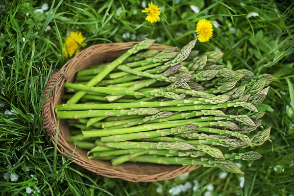 Spargel im Garten — Stockfoto