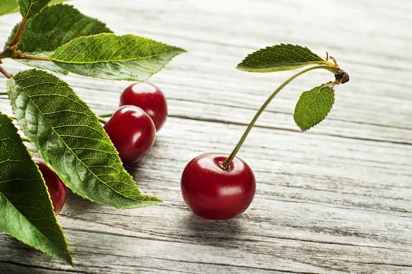 Kirschfrüchte aus nächster Nähe — Stockfoto