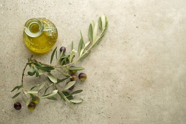 Zeytin yağı ve zeytin ve yapraklı dal yakın plan. Sağlıklı zeytinyağı kavramı