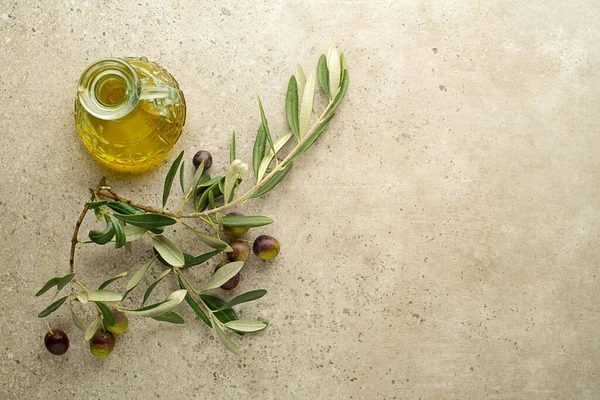 Olive oil and Branch with olives and leaves background close up. Healthy olive oil concept