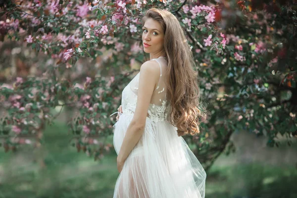 Schwangere hübsche Frau trägt weißes Modekleid posiert im rosa blühenden Apfelgarten, Sommerzeit — Stockfoto