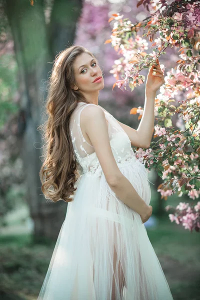 Pregnant pretty woman is wearing white fashion dress posing in pink blossom apple garden, summer time — Stock Photo, Image