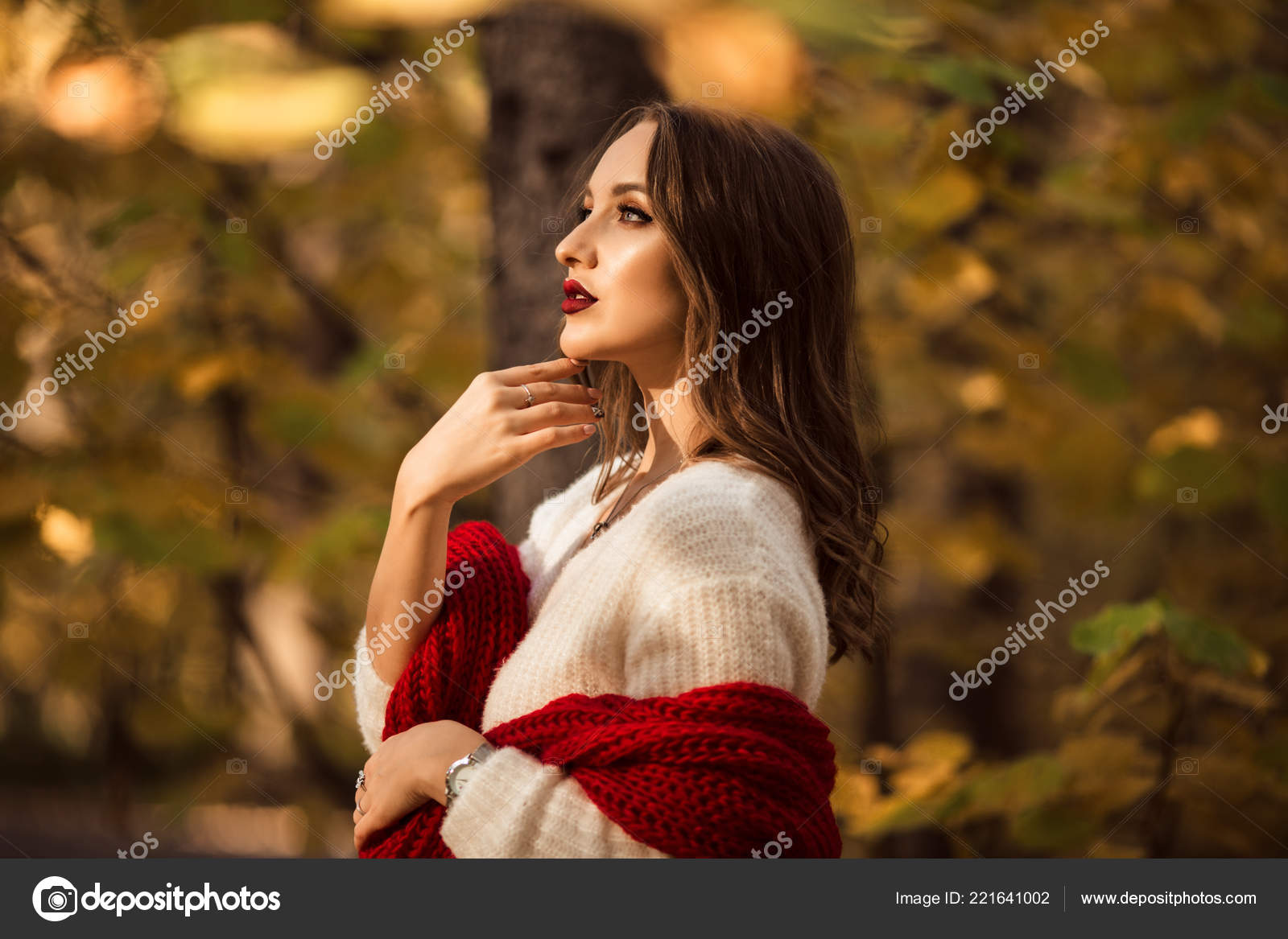 Pretty Woman Fashion Makeup Autumn Park Stock Photo