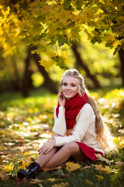 Buket sarı akçaağaç yaprakları ile güzel sarışın kız — Stok fotoğraf