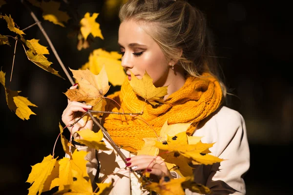 Hübsches blondes Mädchen in gelben Herbstblättern — Stockfoto