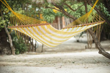 Tropik cennet hamakta