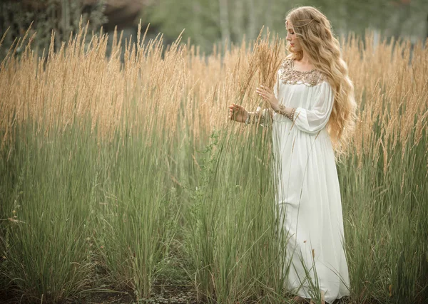 Retrato de menina loira sorridente feliz com cabelo loiro longo está vestindo vestido de moda nupcial branco no campo do raio — Fotografia de Stock